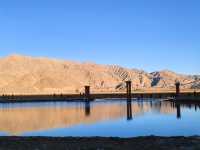 2025南疆庫車_喀什十天胡楊遊