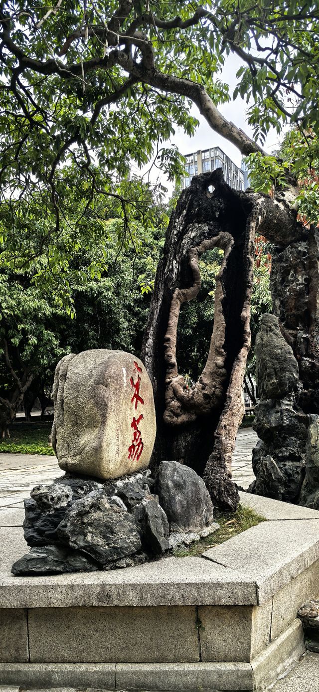 福州的禪意時光