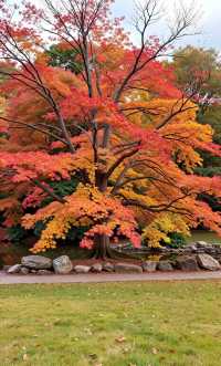 逃離人海！溫州這片隱世山水才是真的絕美