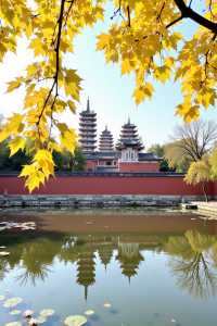 挖到寶喇！甘肅呢個小眾森林公園，影相靚過收費景點！