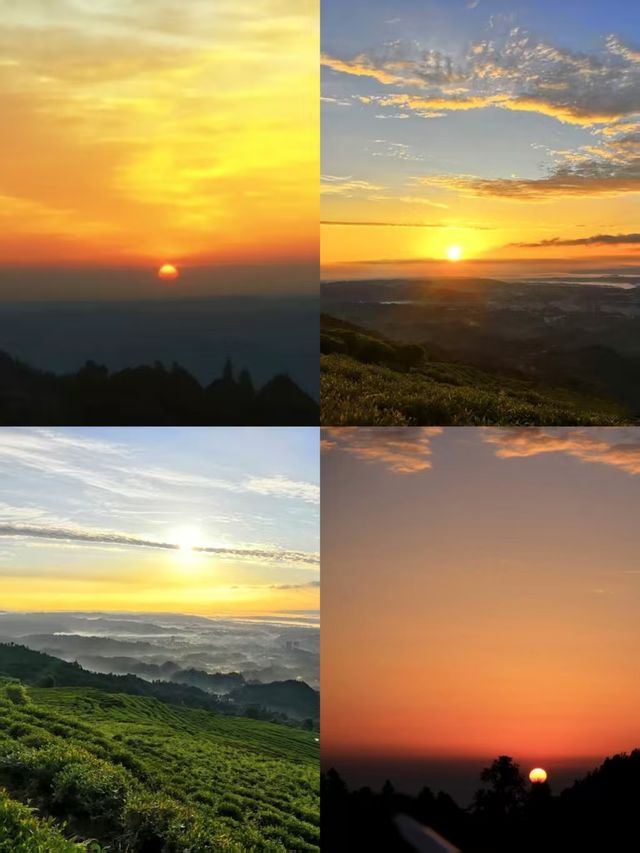 蒙頂山登天蓋寺觀雲海觸摸天空的藍