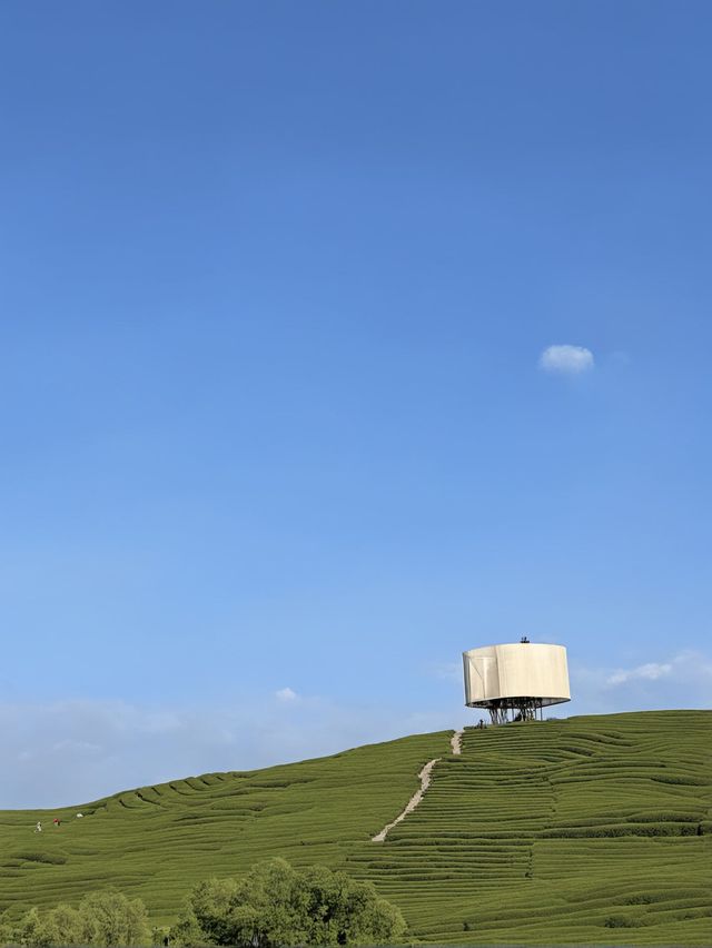 秋天景德鎮包車遊 陶醉其中超浪漫 秋天景德鎮包車遊 陶醉其中超浪漫