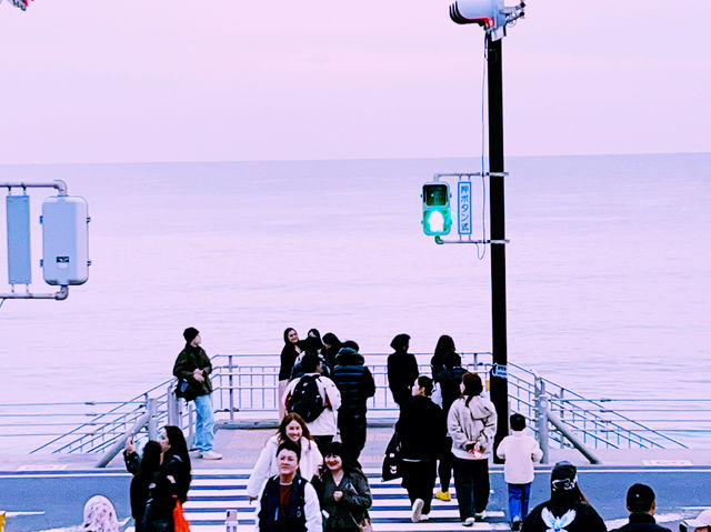 自帶 BGM 的熱血青春回憶｜湘南海岸 × 江之電 🚃🌊