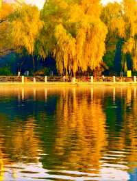 赴一場萬柳塘公園的秋日之約