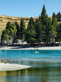 寒假/春節小團遊紐西蘭|南島觀鯨+賞峽灣