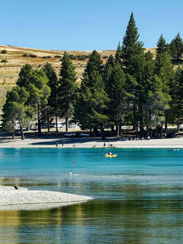 寒假/春節小團遊紐西蘭|南島觀鯨+賞峽灣