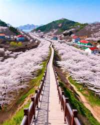 漁村與海的浪漫|享受山海相依的寧靜與漁村的煙火氣