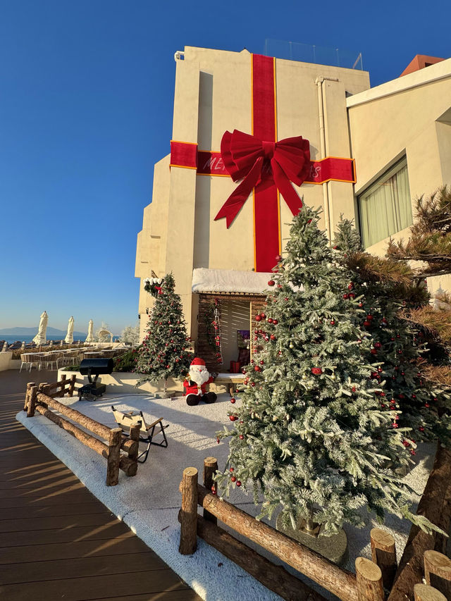 青島冬日海景封神!空無一人美到窒息 青島冬日海景封神!空無一人美到窒息