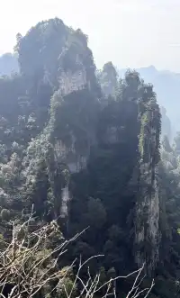 [11.05]跌宕起伏的張家界森林公園·攻略參考