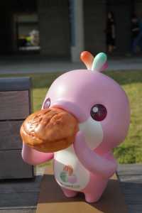 跟著全運遊灣區|香港啟德體育園遇見灣區頂流!