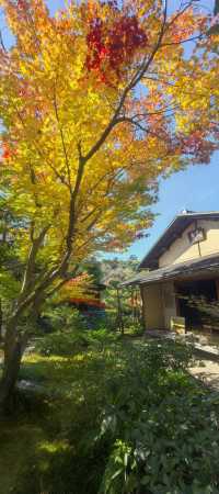 木曾川邊白帝城：犬山