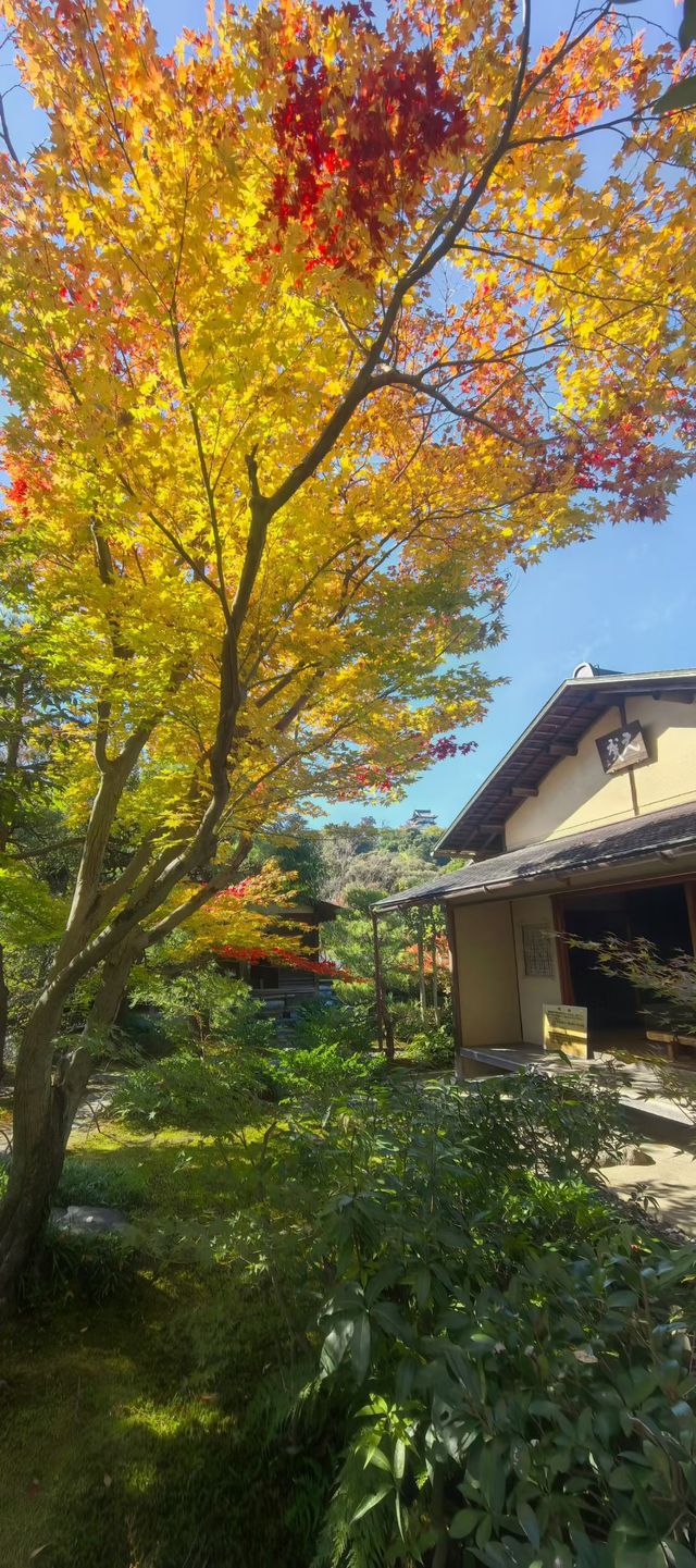 木曾川邊白帝城：犬山