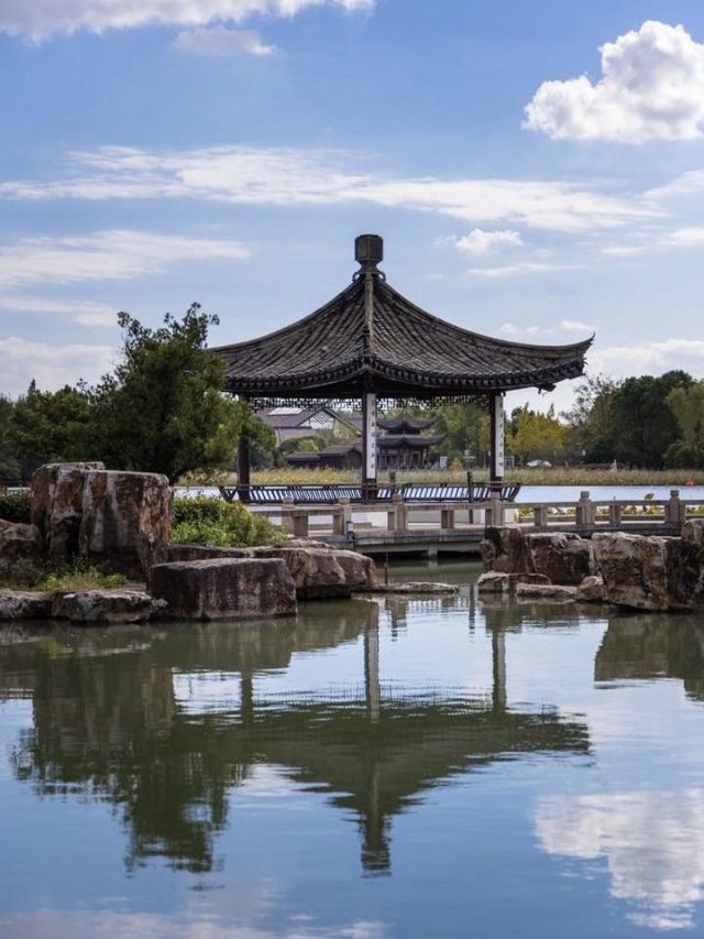 常熟尚湖秋日攻略水上森林+大雁伴飛+萌寵互動超治癒