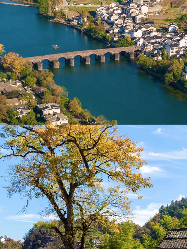 安徽私藏！齊雲山2天1夜秋遊攻略浙江人免費衝