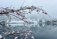 螺髻山瘋玩實錄：在雪地裡泡溫泉也太會了！