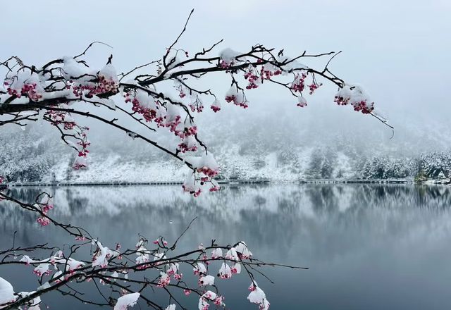 螺髻山瘋玩實錄：在雪地裡泡溫泉也太會了！
