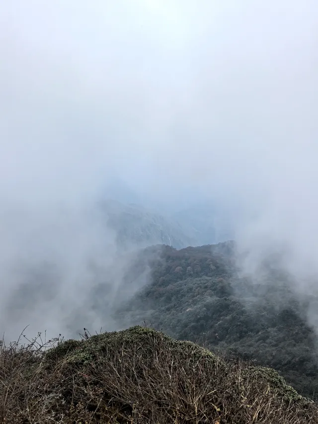 登頂梵淨山坐了最暈車的景交車
