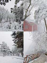 玉塵飛瀑，瓊枝漫山！快來捕捉翠華山的冬日限定浪漫~