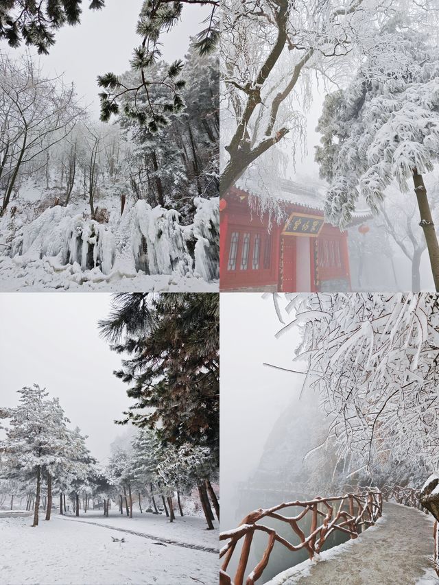 玉塵飛瀑，瓊枝漫山！快來捕捉翠華山的冬日限定浪漫~