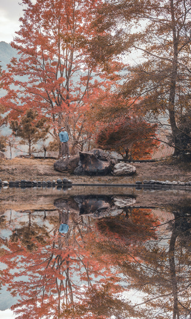 接下來的韶關,將是上帝打翻的調色盤! 接下來的韶關,將是上帝打翻的調色盤!