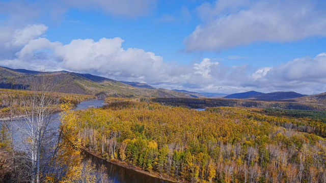 額爾古納河絕美秋景自駕攻略油畫般的金色童話世界 額爾古納河絕美秋景自駕攻略油畫般的金色童話世界