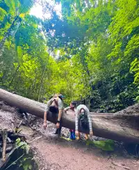 版納普洱親子線追象玉林徒步!體力黨衝