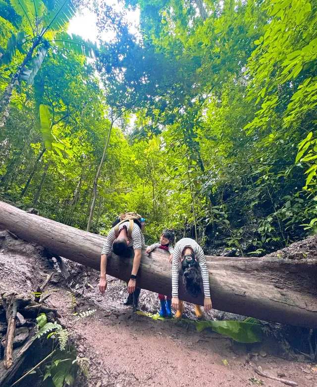 版納普洱親子線追象玉林徒步!體力黨衝 版納普洱親子線追象玉林徒步!體力黨衝