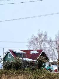 北海道，將迎來封神級別的冬天