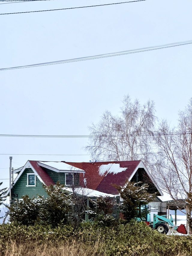 北海道，將迎來封神級別的冬天