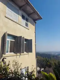 上海 |登佘山之巔,聆聽時光頌詩