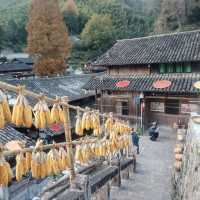 黃南林坑古村落｜藏著一整個絕美曬秋畫卷！