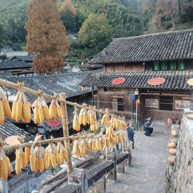 黃南林坑古村落｜藏著一整個絕美曬秋畫卷！