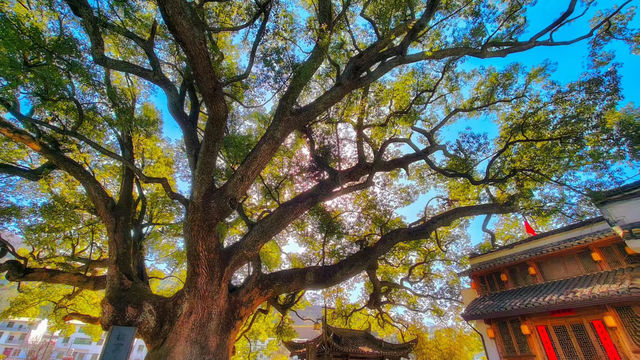 上饒三日賞秋攻略說好這篇就夠了！