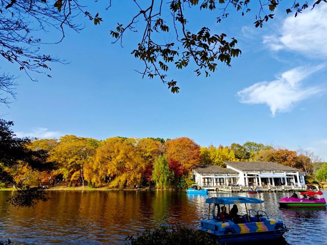超全攻略!冬日共青森林公園賞秋絕了 超全攻略!冬日共青森林公園賞秋絕了