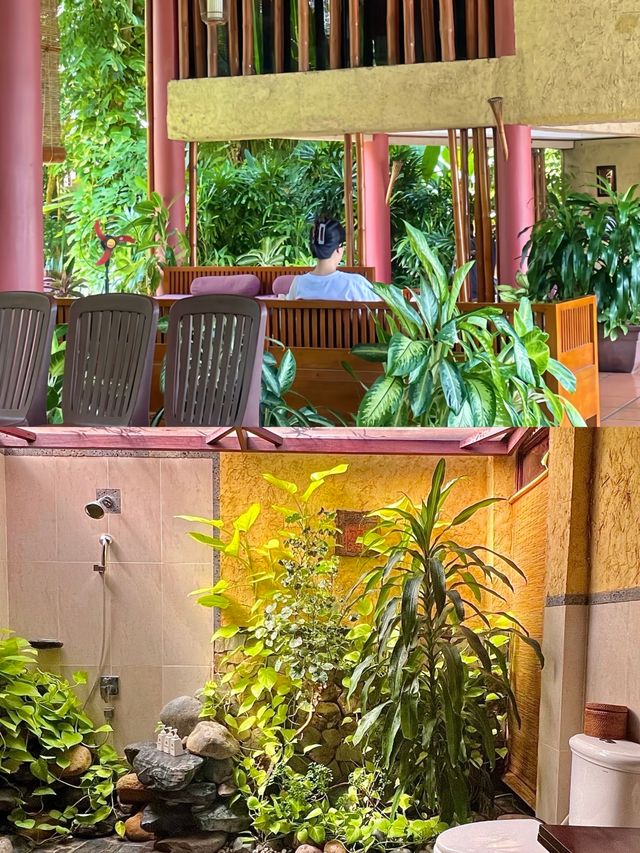 避世美奈,綠洲仙境 避世美奈,綠洲仙境