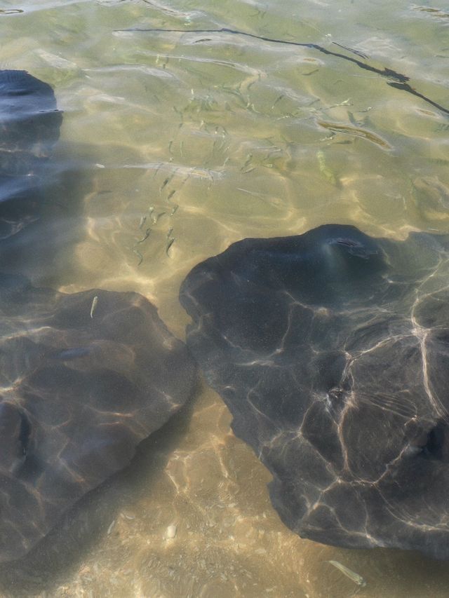 分界洲島值得人少景美的果凍海攻略在此 分界洲島值得人少景美的果凍海攻略在此