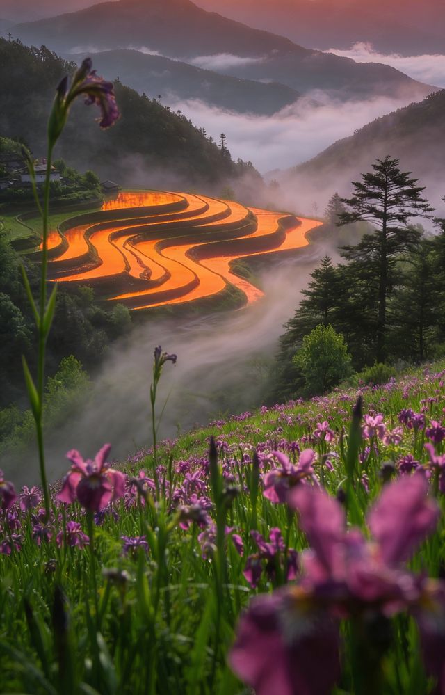 絕美金沙江梯田漫步 絕美金沙江梯田漫步