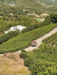 週末|到莫干山下感受陽光和快樂