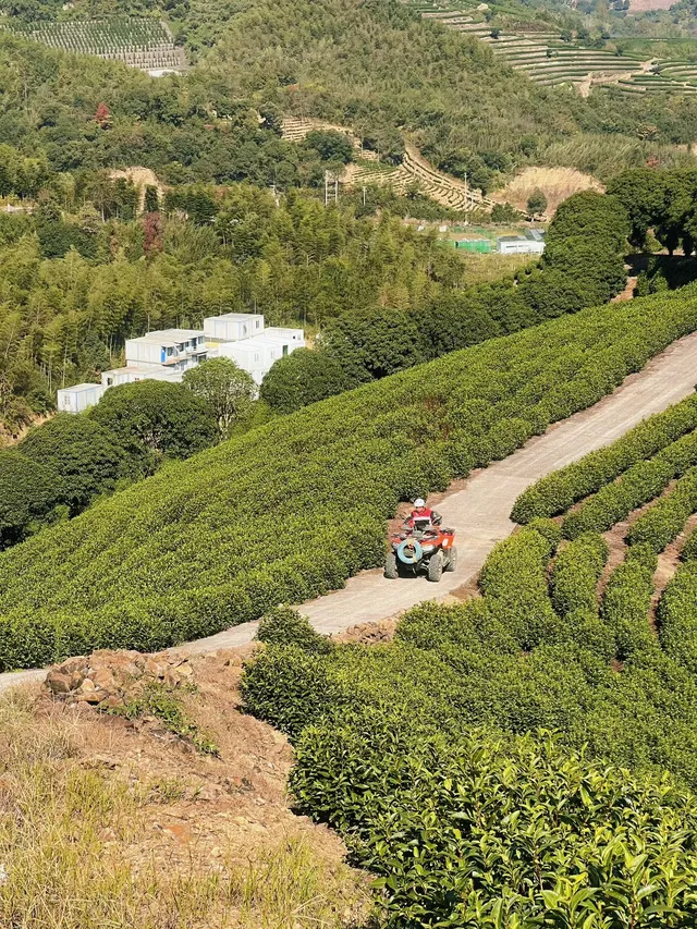週末|到莫干山下感受陽光和快樂 週末|到莫干山下感受陽光和快樂