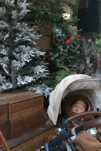 在外灘帶1歲寶寶我竟然活下來了還出了片!