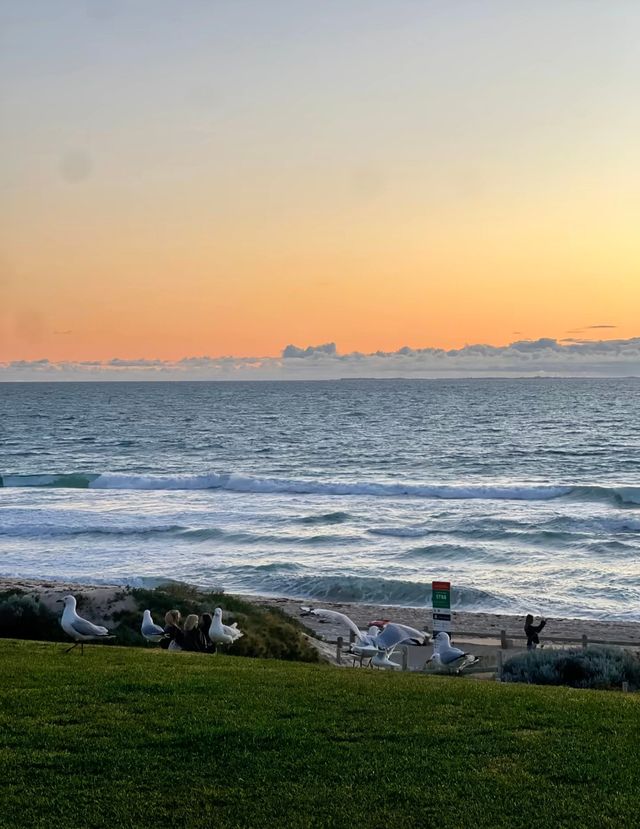 海邊自駕這樣玩不迷路 海邊自駕這樣玩不迷路