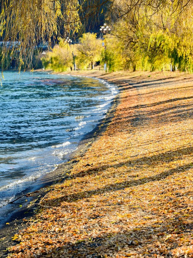 瀘沽湖冬日限定！闖入晨霧裡的遺失仙境