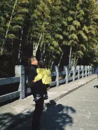 南山竹海一日遊|住進竹林裡的美學民宿