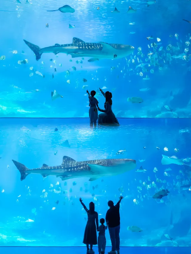 淡季的珠海長隆真的太出片啦🩵 淡季的珠海長隆真的太出片啦🩵