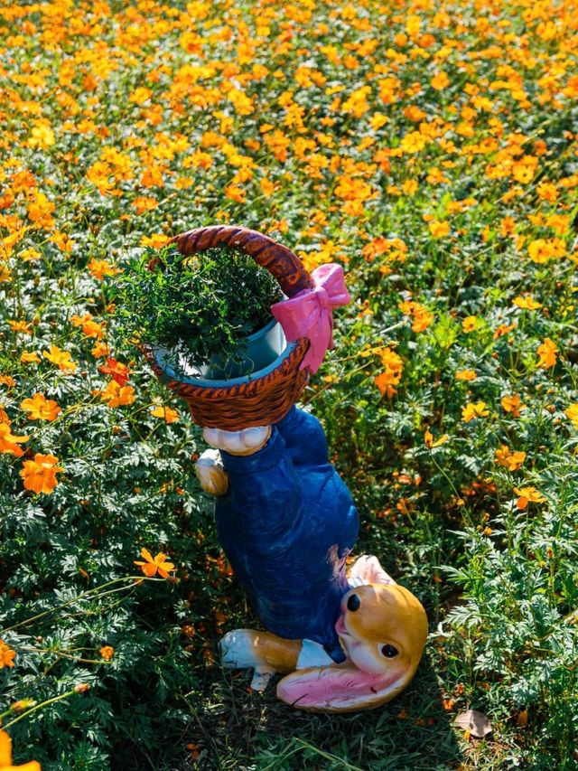 深圳東湖公園 深圳東湖公園