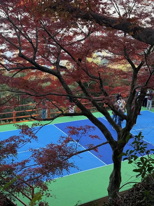 莫干山|一日賞楓11.30日 莫干山|一日賞楓11.30日