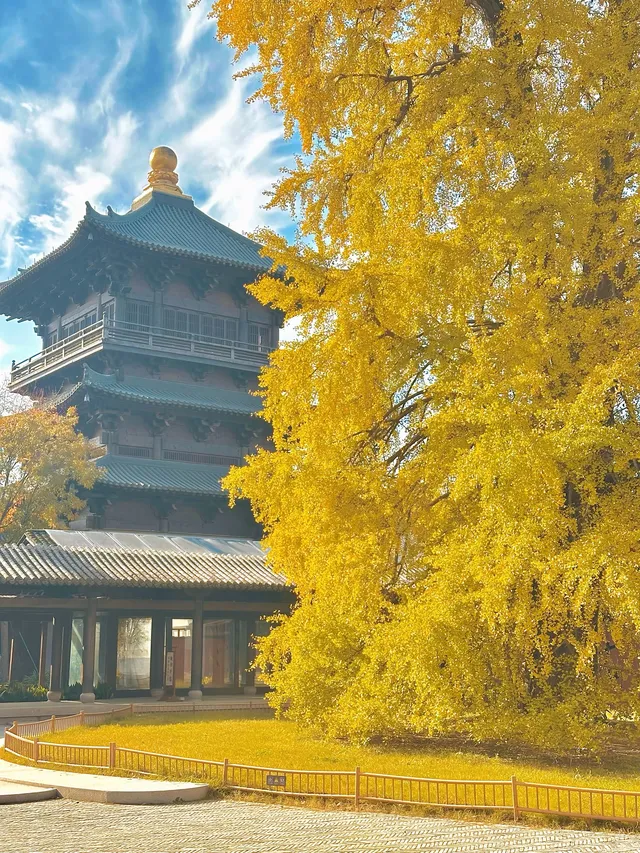 12月！預計會有10萬人來這裡…