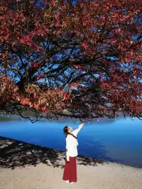 麗江|神女的眼淚-瀘沽湖