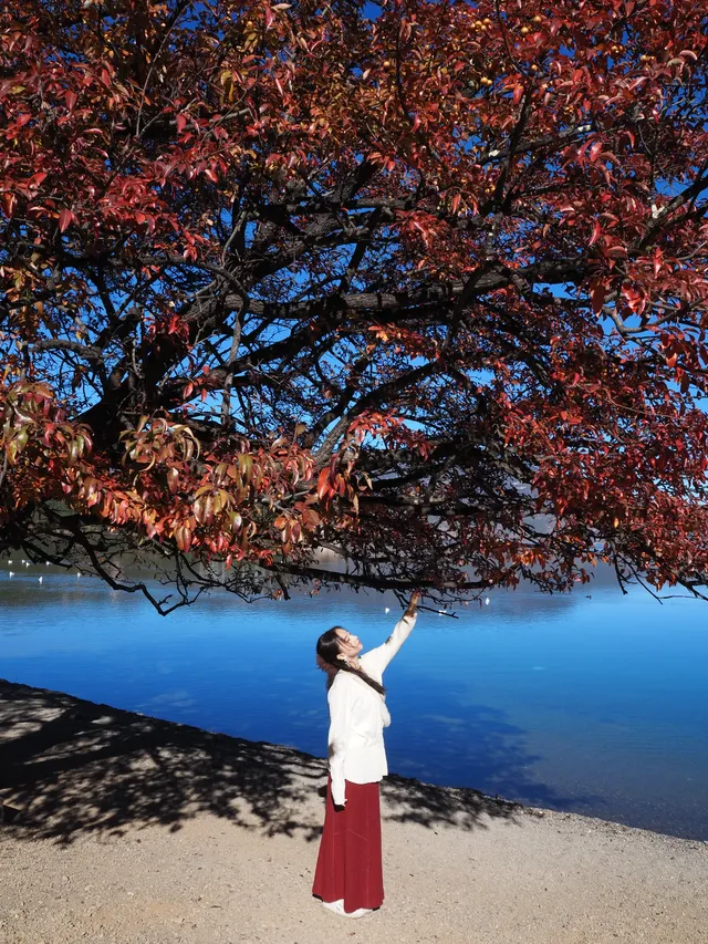 麗江|神女的眼淚-瀘沽湖 麗江|神女的眼淚-瀘沽湖