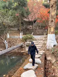 莫干山紅色氛圍已拉滿，趕緊衝！！